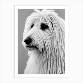 Komondor B&W Pencil Dog Art Print