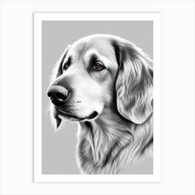 Flat Coated Retriever B&W Pencil Dog Art Print
