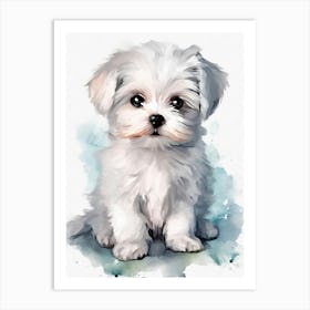 Maltese Puppy Art Print