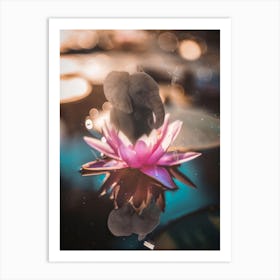 Baby Elephant Waterlily And Dragonflies Art Print