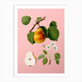 Vintage Pear Botanical on Soft Pink Art Print
