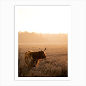 Highlander Cow Looking At Sunrise Art Print
