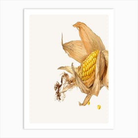 Corn On The Cob 1 Art Print