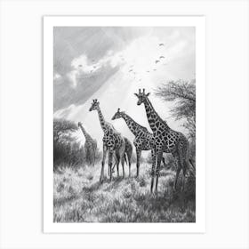 Pencil Portrait Herd Of Giraffes In The Wild  3 Art Print