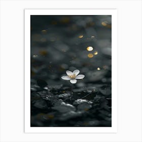 Rizwanakhan The Last Flower 19 Art Print