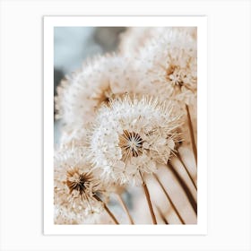 Allium Art Print