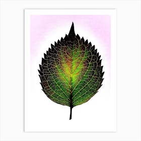 Leaf On A Pink Background Art Print