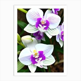 Orchids 8 Art Print