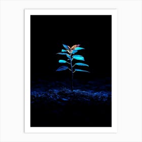 Tree In The Dark 19 Art Print