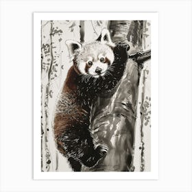 Red Panda Cub Climbing A Tree Ink Illustration 1 Art Print