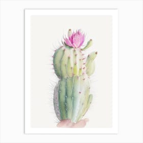 Rat Tail Cactus Pastel Watercolour 2 Art Print