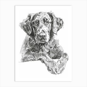 Flat Coated Retriever Dog Line Sketch  1 Art Print