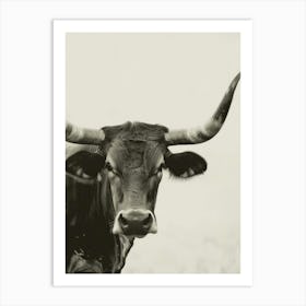 Longhorn Canvas Print 2 Art Print