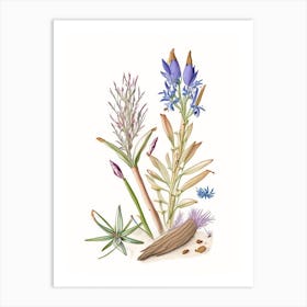 Gentian Root Spices And Herbs Pencil Illustration 1 Art Print