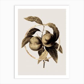Gold Ring Peach Glitter Botanical Illustration n.0247 Art Print