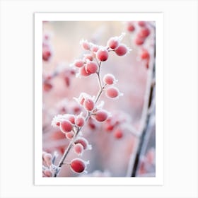 Frosty Botanical Winterberry 2 Art Print