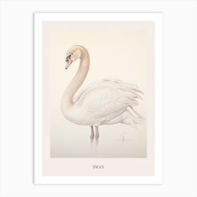 Vintage Bird Drawing Swan 2 Poster Art Print