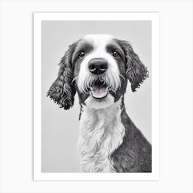 Spanish Water Dog B&W Pencil Dog Art Print