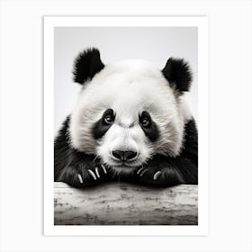 Black And White Photograph Of A Panda Art Print