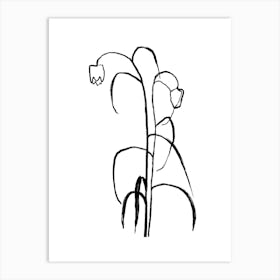 Tulip Of The forest Art Print Art Print