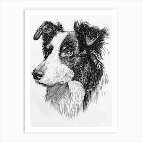 Sheep Dog Line Sketch 4 Art Print