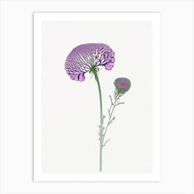 Scabiosa Floral Minimal Line Drawing 3 Flower Art Print