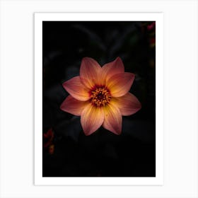 Orange Flower Art Print