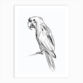 B&W Parrot Art Print