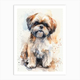 Shih Tzu Watercolor Painting 3 Art Print