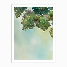 Acropora Gomezi Storybook Watercolour Art Print