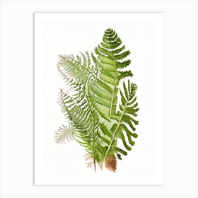 Ostrich Fern Wildflower Watercolour 2 Art Print