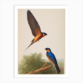 Barn Swallow 2 James Audubon Vintage Style Bird Art Print