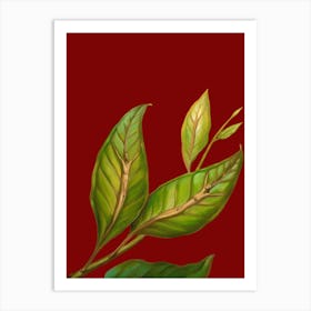 Green Tea Leaves Art Print