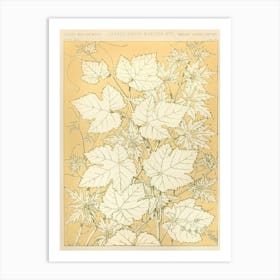 Vintage Pattern Illustration, Owen Jones    Art Print