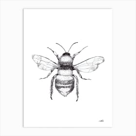 Black and White Honeybee Art Print