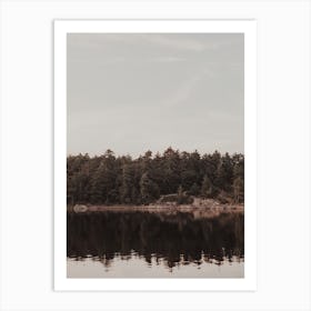 Rustic Forest Along Lake Art Print