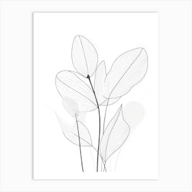 Lily Of The Valley 5 Art Print