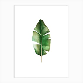 Banana Leaf Art Print
