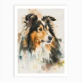 Shetland Sheepdog Watercolor Painting 3 Art Print