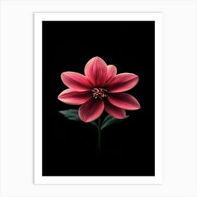 Dahlia Flower 10 Art Print