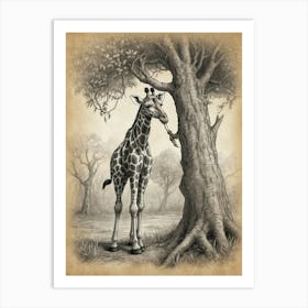 Giraffe By The Tree Art Print