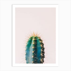 Cactus Art Print