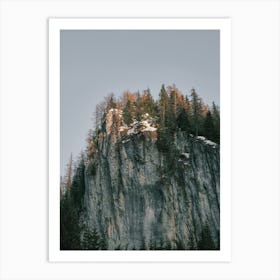 Mountain Top Forest Art Print