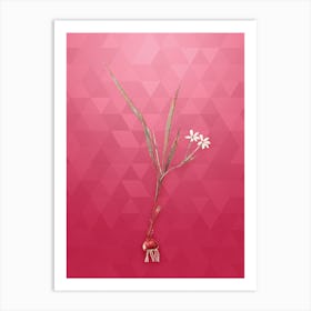 Vintage Gladiolus Inclinatus Botanical in Gold on Viva Magenta Art Print