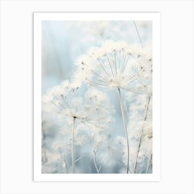 Frosty Botanical Queen Annes Lace 2 Art Print