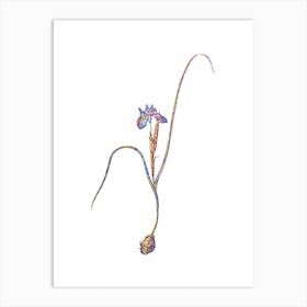 Stained Glass Barbary Nut Mosaic Botanical Illustration on White n.0254 Art Print