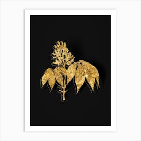 Vintage Yellow Buckeye Botanical in Gold on Black n.0501 Art Print