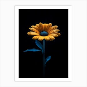 Gerbera Daisy 2 Art Print