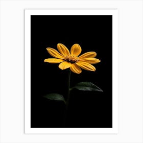 Single Yellow Daisy 2 Art Print