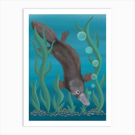 Platypus Swimming Underwater Art Print